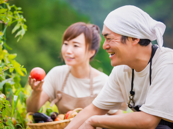 野菜の収穫
