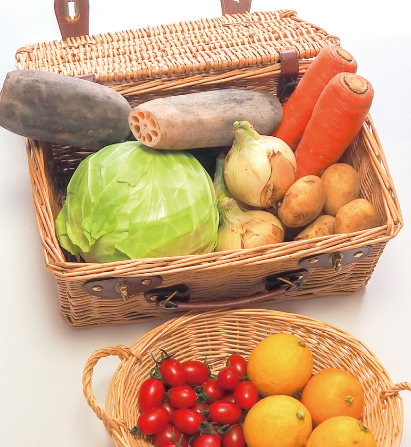 収穫した野菜