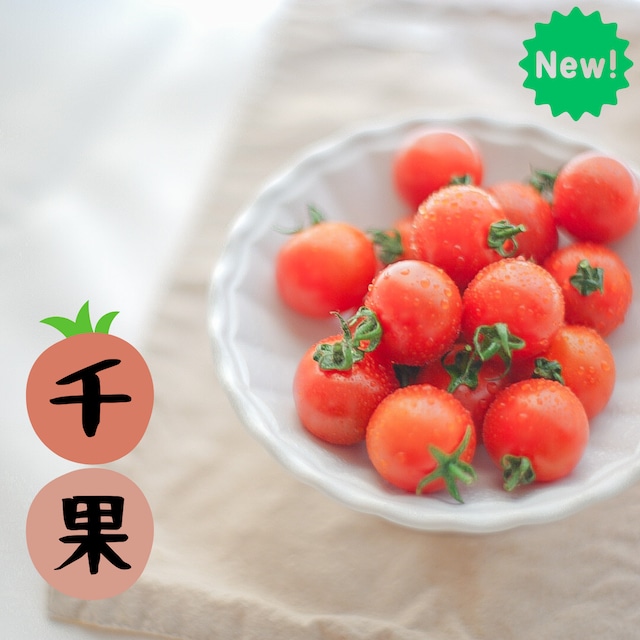 ミニトマト 1kg 千果 