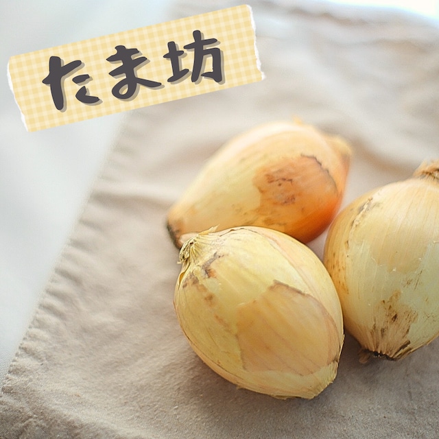 新玉ねぎ たま坊 2㎏ 