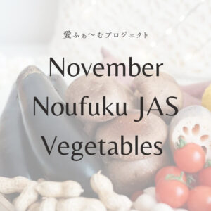 11月発送