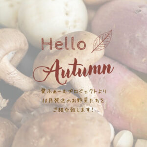 10月中旬発送のお野菜
